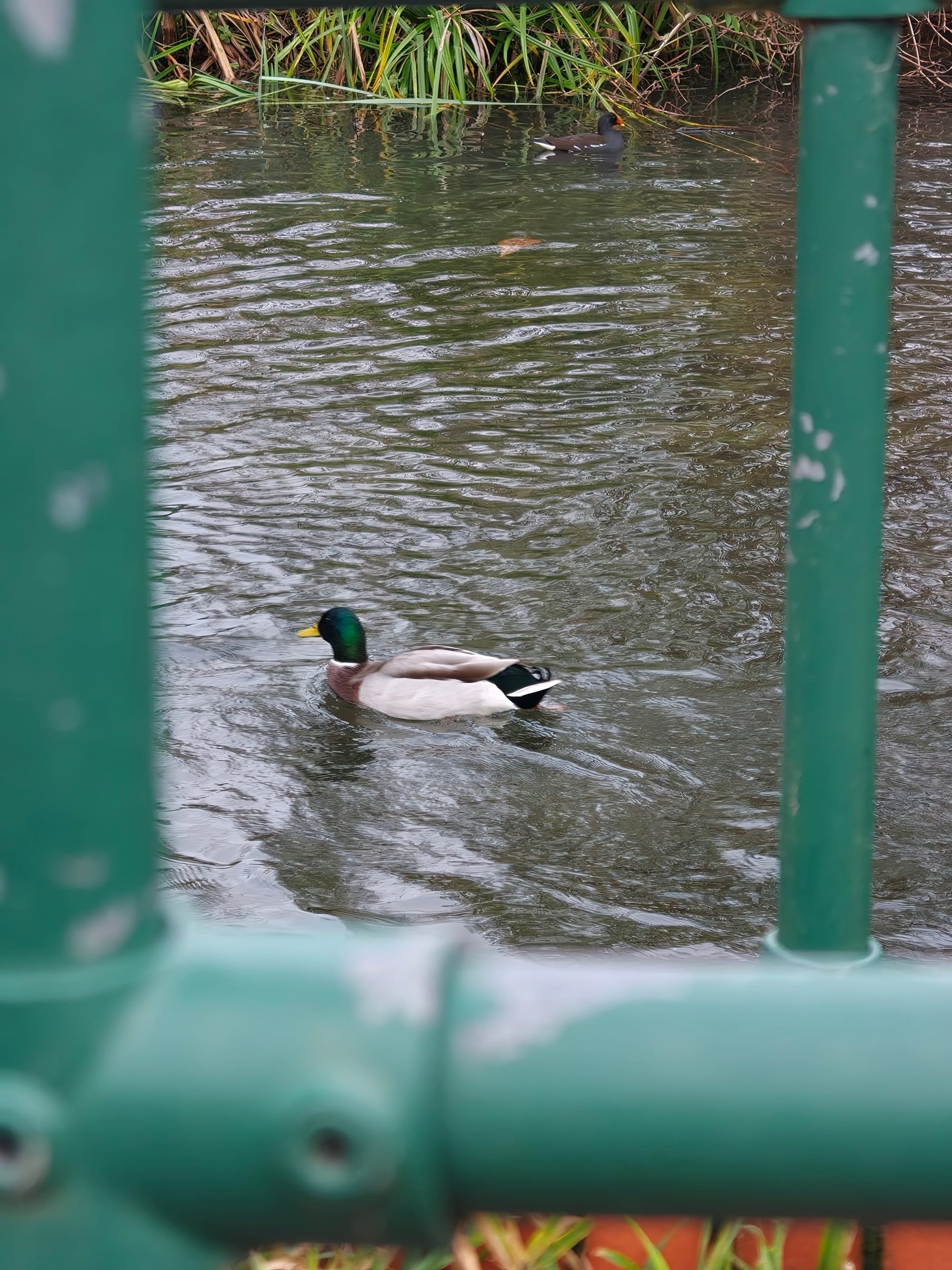 The Oppo Find X9 Pro: A Camera That Doesn't Get In The Way